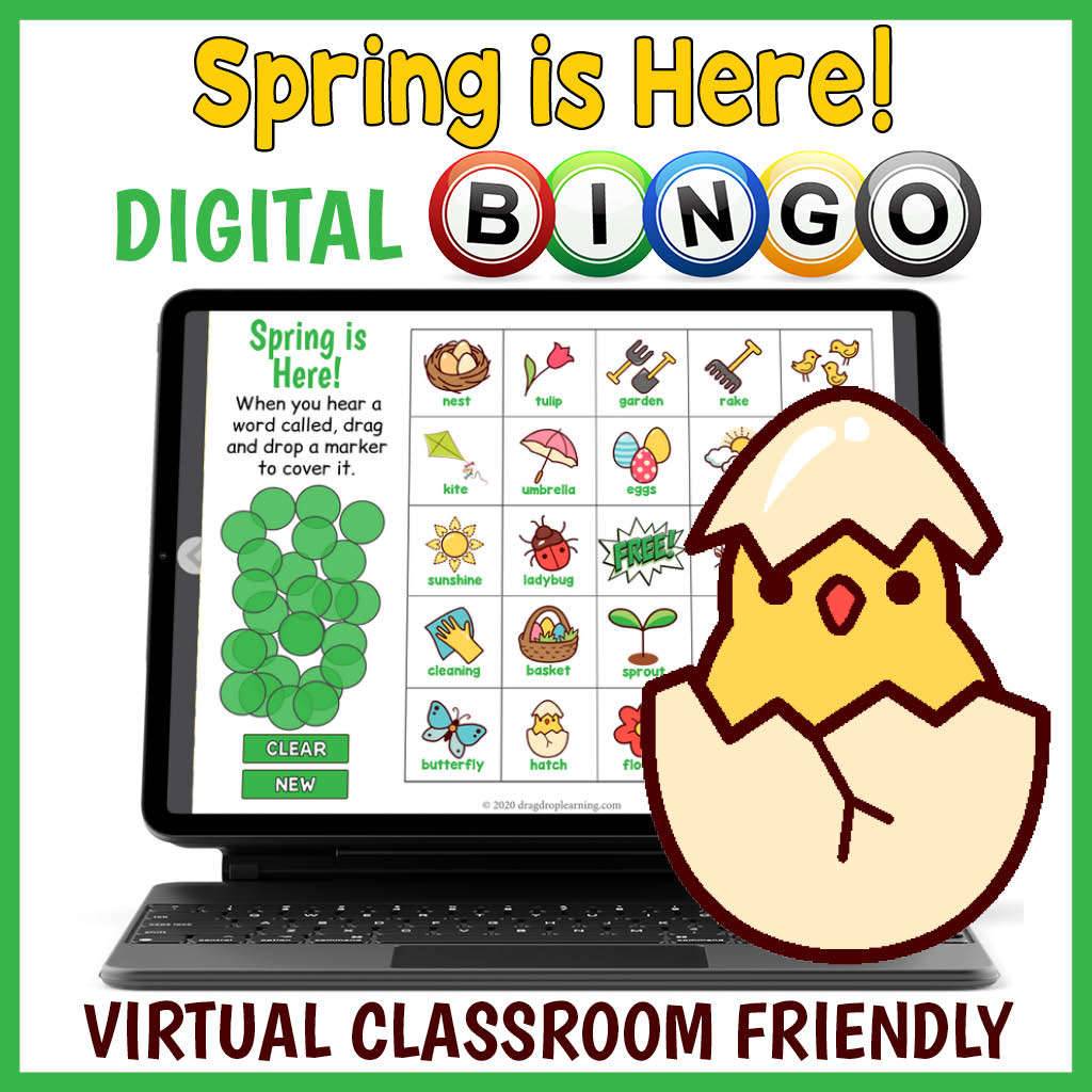DIGITAL Spring Themed Vocabulary Bingo Game