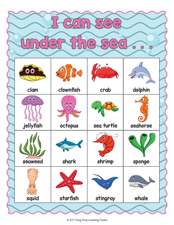Marine Life Vocabulary List